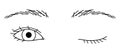 woman winking eye, double eyelids, Almond eyes, outline illustration Royalty Free Stock Photo